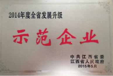 全省发展升级示范企业